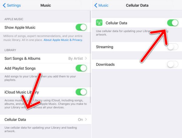 Disable Cellular Data for Apple Music