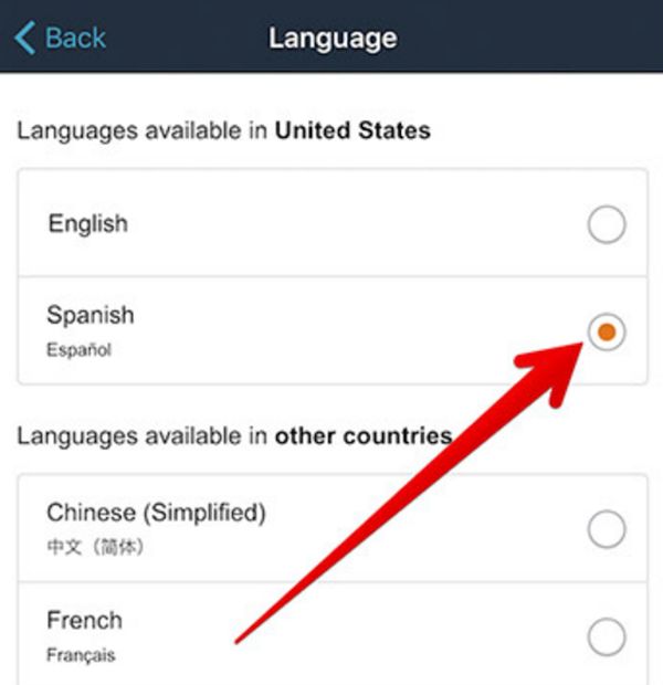 What languages are supported by Amazon app in USA on iPhone