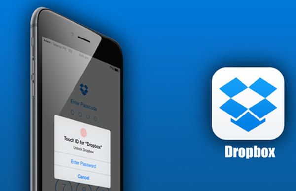 iPhone Dropbox Cache Cleaner How to Guide